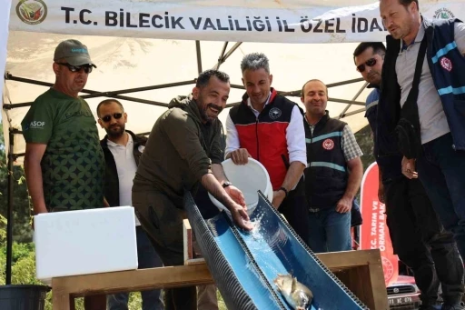 Pelitözü Göleti’ne anaç sazan balığı salındı
