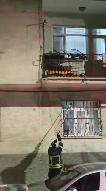 Pencere korkuluğundaki yılan ekiplerce yakalandı
