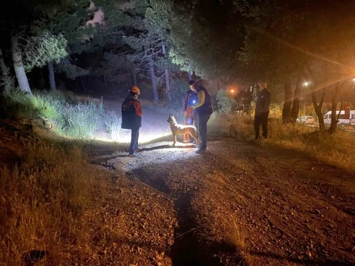 Pendik’te ormana girdikten sonra haber alınamayan şahıs için arama çalışmaları başlatıldı
