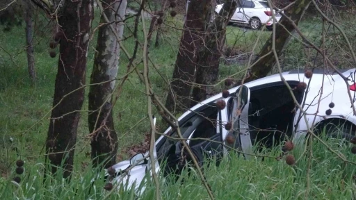 Pendik&rsquo;te virajı alamayan s&uuml;r&uuml;c&uuml; ağaca &ccedil;arptı
