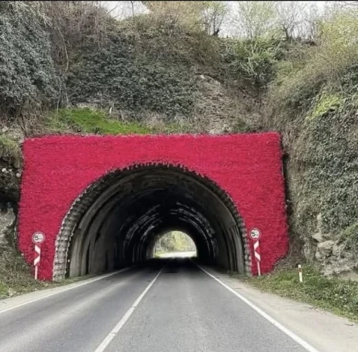 Perşembe Tüneli’ne ‘Cittaslow’ logosu
