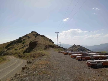 Pervari’de arıcılar yayla yoluna kavuştu
