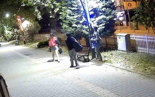 Pes dedirten görüntü: Eğlence için aydınlatma direklerine binlerce liralık zarar verildi
