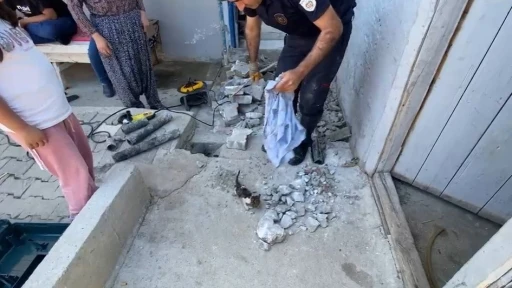 Plastik boruya sıkışan yavru kedi itfaiye ekiplerince kurtarıldı
