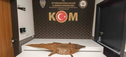 Polis durdurduğu ara&ccedil;ta timsah derisi ele ge&ccedil;irdi
