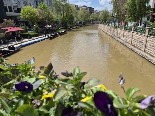 Porsuk &Ccedil;ayı kahverengiye d&ouml;nd&uuml;
