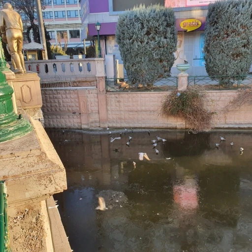 Porsuk&rsquo;un donduğunun resmidir
