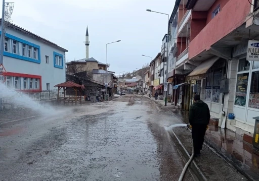 Posof&rsquo;ta bahar temizliği
