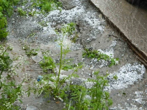 Posof’ta dolu etkili oldu
