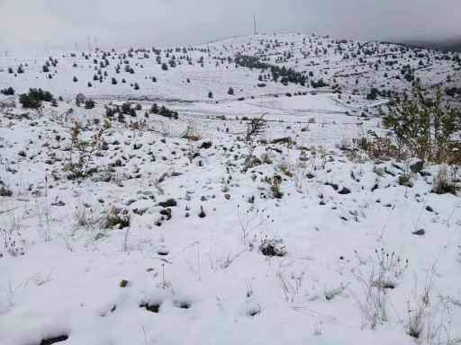 Posof’ta kar yağışı etkili oldu

