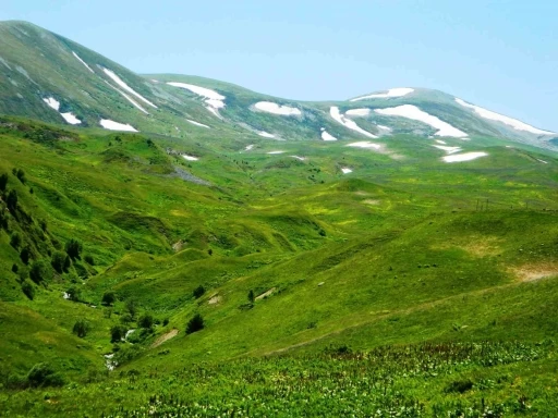 Posof’ta yayla mevsimi başladı
