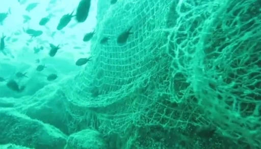 Prof. Dr. Coşkun Er&uuml;z: "Karadeniz&rsquo;in doğal ekosistemini ve biyo&ccedil;eşitliliğini korumak i&ccedil;in hayalet ağları temizlemek gerekli"
