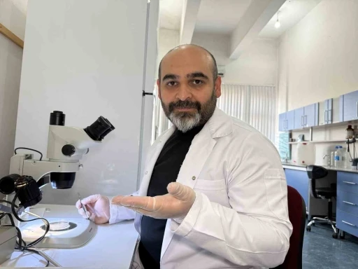 Prof. Dr. Keskin: &quot;Keneyi strese sokacak uygulamalardan kaçınalım&quot;
