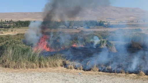 Prof. Dr. Lokman Aslan: &quot;Sulak alanlar tabiatın rahimleridir&quot;
