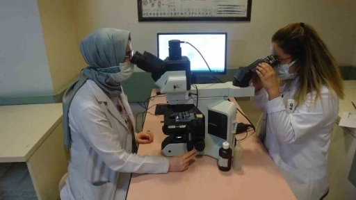 Prof. Dr. Tartar, &quot;Dünya genelinde 350 milyondan fazla kişi hepatit ile yaşamaktadır&quot;
