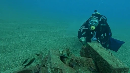 Profesör deniz dibinde taşlardan balıklara yuva yaptı