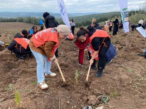 &quot;81 İlde 81 Orman&quot; Projesi kapsamında Bursa’da 10 bin fidan toprakla buluştu

