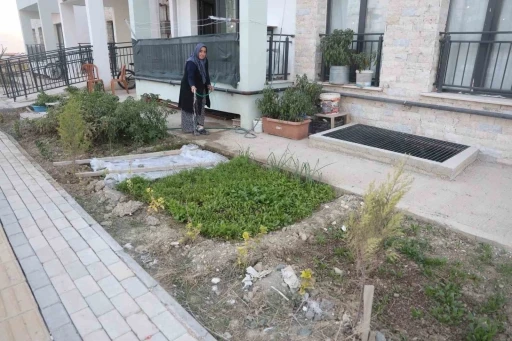 &quot;Kadın eli değen her yer güzelleşir&quot; sözü gerçek oldu: Depremzede kadın yeni yuvasının bahçesini ektiği sebzelerle güzelleştirdi
