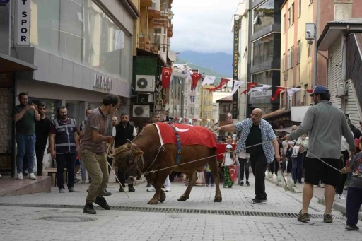 "Kafkas&ouml;r Festivali" boğalı kortej y&uuml;r&uuml;y&uuml;ş&uuml;yle başladı
