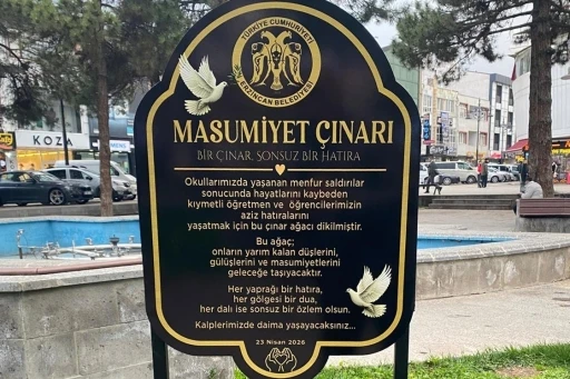 "Masumiyet &Ccedil;ınarları" kaybedilen canların hatırası i&ccedil;in dikildi
