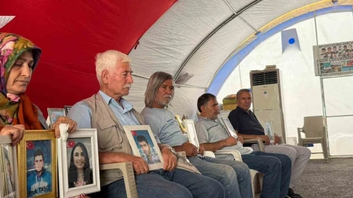 &quot;Terörsüz Türkiye&quot; sürecinde Diyarbakır anneleri dinlenecek
