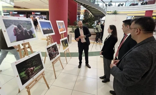 "Uluslararası Tarım, Orman ve İnsan Fotoğraf Sergisi" K&uuml;tahya&rsquo;da a&ccedil;ıldı

