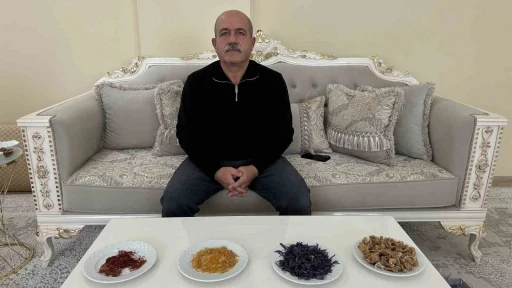 "Yapamazsın" diyenlere inat yetiştirdiği safran ve salebi evinde t&uuml;ketiyor

