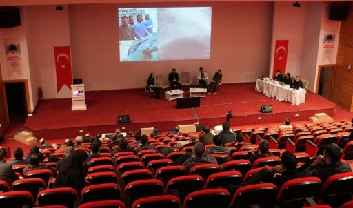 "Zor Vakalar, Canlı &Ccedil;&ouml;z&uuml;mler"
