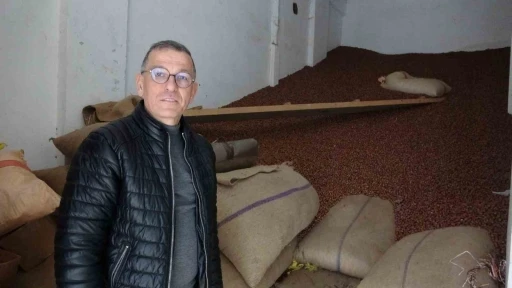 Ramazan Bayramı &ouml;ncesi fındık fiyatları 240 liraya geriledi
