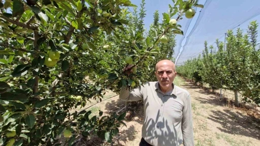 Rekor &uuml;retime dolandırıcı uyarısı

