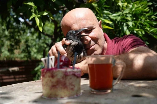 Rize &ccedil;ayı i&ccedil;en gurme kargaya &ouml;zel doğum g&uuml;n&uuml; partisi
