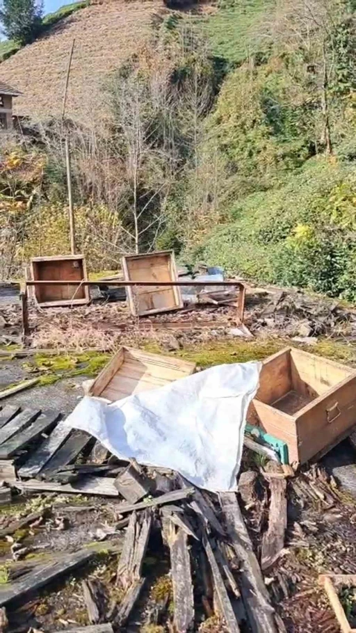 Rize&rsquo;de ayının kovanlarına saldırdığı &uuml;retici isyan etti: "Ben şimdi ne edeyim"
