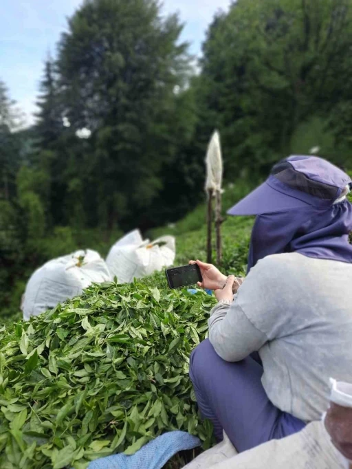 Rize&rsquo;de &ccedil;ay bah&ccedil;esinde milli ma&ccedil; heyecanı
