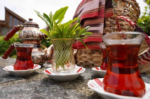 Rize&rsquo;de D&uuml;nya &Ccedil;ay G&uuml;n&uuml; etkinliği
