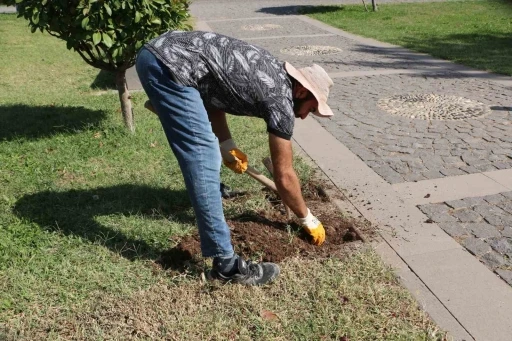 Roma döneminden esinlenildi: Diyarbakır Müzesinde ’Sütunlu Yol’ dönemi başlıyor
