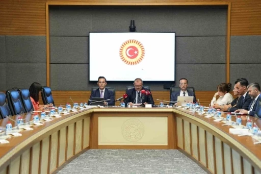 RT&Uuml;K Başkanı Mehmet Daniş: "Savunmasız gruplara y&ouml;nelik koruma yaklaşımını daha da genişlettik"
