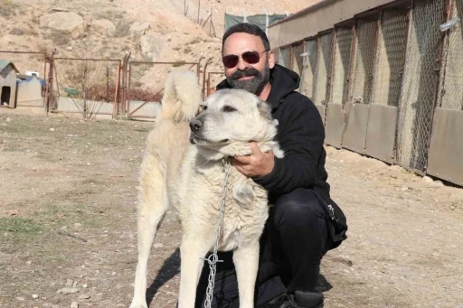 Rus g&uuml;zele g&ouml;nl&uuml;n&uuml; kaptıran kangala kadınlardan tepki: "Bizim erkeklerimiz b&ouml;yledir"
