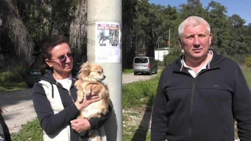 Kayıp K&ouml;pekler İ&ccedil;in Servet Değerinde &Ouml;d&uuml;l