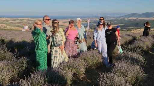 Rus turistler Tekirdağ’da mor lavanta tarlalarına hayran kaldı
