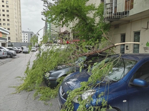 Rüzgarda kırılan ağaç dalı otomobillerin üzerine düştü
