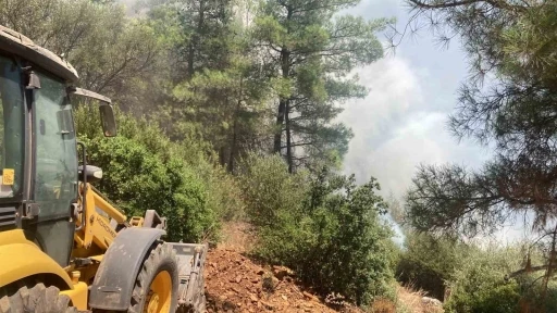 R&uuml;zgarın b&uuml;y&uuml;tt&uuml;ğ&uuml; yangın 1 saatte s&ouml;nd&uuml;r&uuml;ld&uuml;
