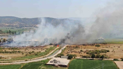 Rüzgarla büyüyen yangın, hayvan çiftliğini tehdit etti
