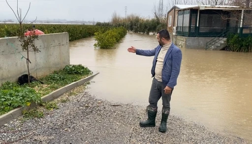 Sağanak sonrası evde mahsur kalan 4 k&ouml;pek iş makinesiyle kurtarıldı
