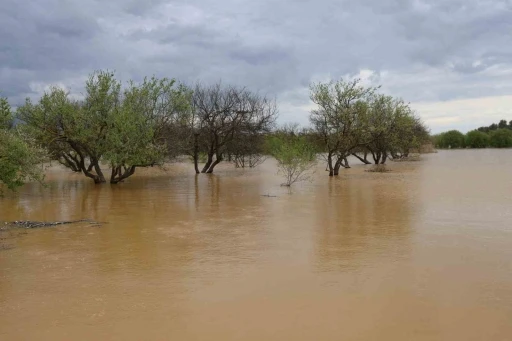 Sağanak yağış Menderes Nehri&rsquo;ni taşırdı
