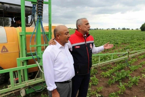 Sağlam: &quot;Çölleşmeye karşı toprağı iyi kullanmalıyız&quot;
