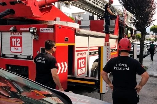 Sahibinin omzunda gezerken korkup ka&ccedil;an papağanın imdadına itfaiye yetişti
