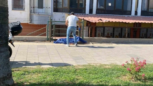 Sahil kenarındaki yürüyüş yolunda ceset bulundu
