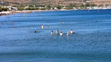 İlçe nüfusu 1 milyonu aştı, akın akın gelmeye devam ediyorlar