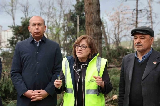 Şahin, &ccedil;alışmaları yerinde takip etti
