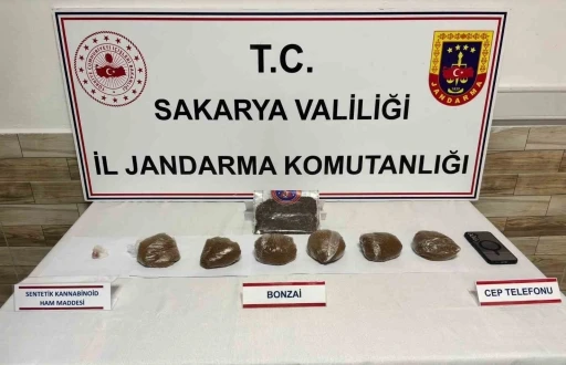 Sakarya&rsquo;da 2 il&ccedil;ede uyuşturucu operasyonu: 2 tutuklama
